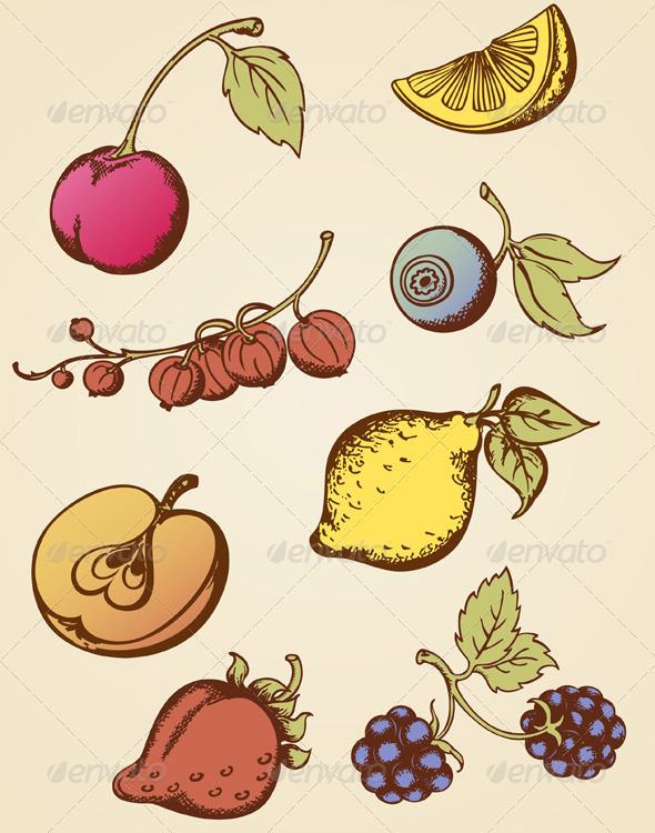 Vintage Fruits by Artness | GraphicRiver