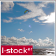 Kitesurfers Going to Sea Pack - VideoHive Item for Sale