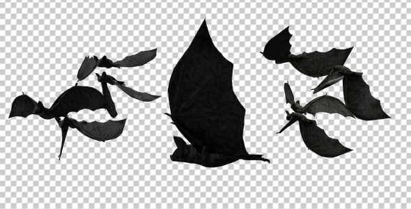 Creepy Bats Transitions