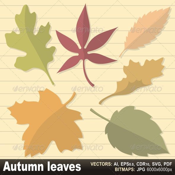Autumn leaves - Decorative Symbols Decorative