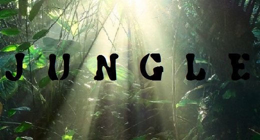Jungle Ambience