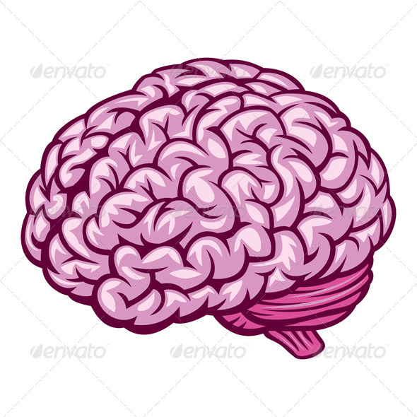 Brain - Organic Objects Objects