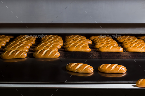 Baguettes baking in industrial oven.