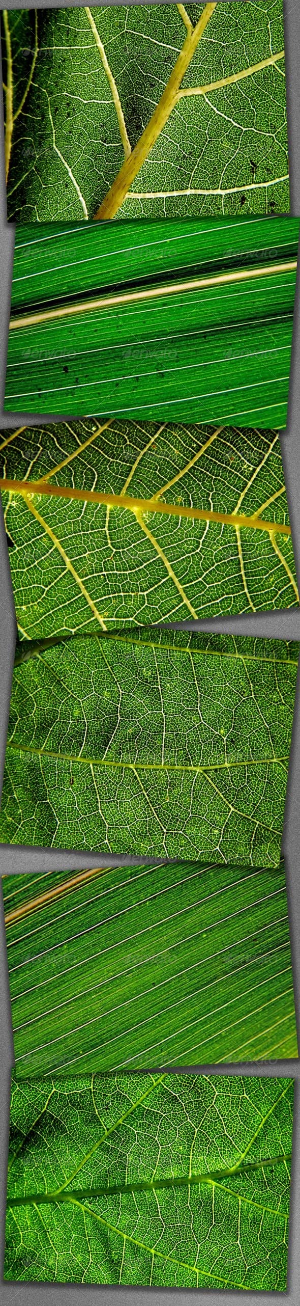 Going Green? - Nature Textures