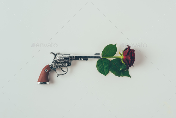 top view of red rose in gun barrel isolated on white, valentines day concept