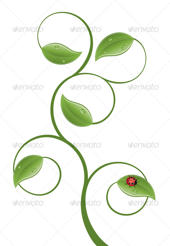 Leaf - Flowers & Plants Nature