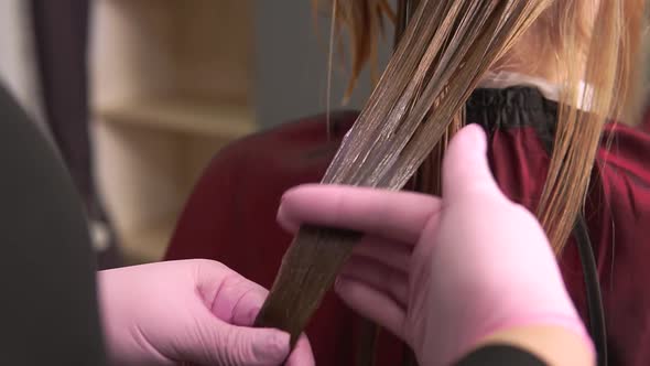 A Hairdresser in Pink Latex Gloves Distributes Hair Dye on the Blonde Hair