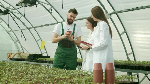 Farmer Showing Growing Crops To Scientists