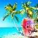 Summer Travel Tropical House For Vacation Summer Travel Tropical House For Vacation