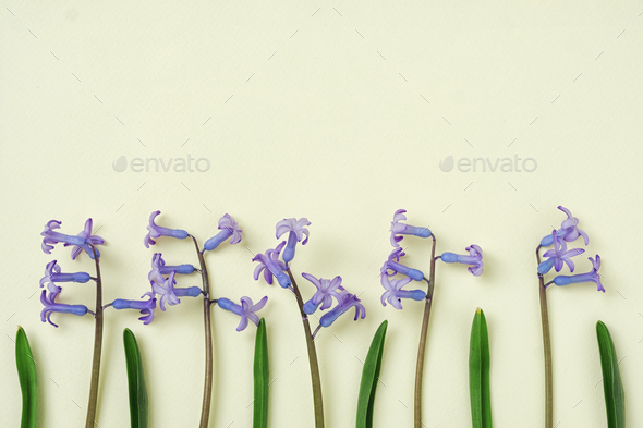 Blue flowers arranged in a row on a yellow background - Stock Photo - Images