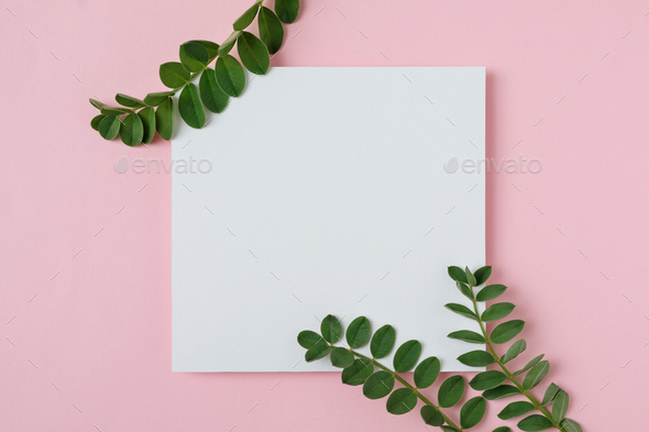 White sheet of paper - Stock Photo - Images