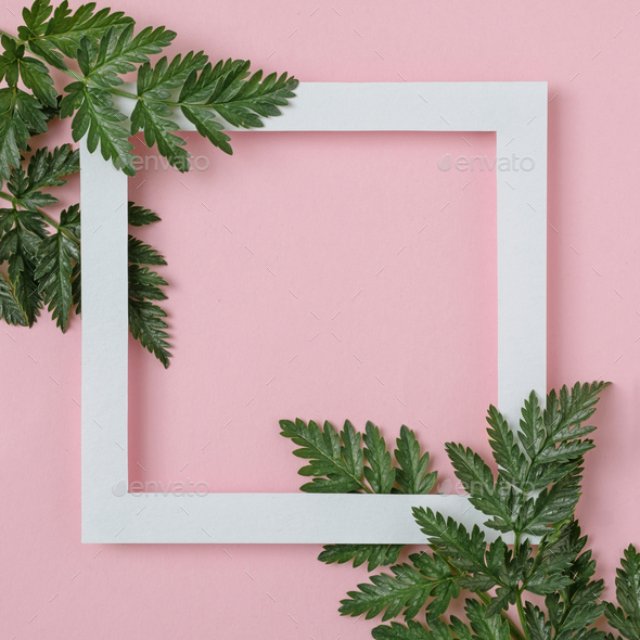 White frame on a pink pastel background Stock Photo by sergign | PhotoDune