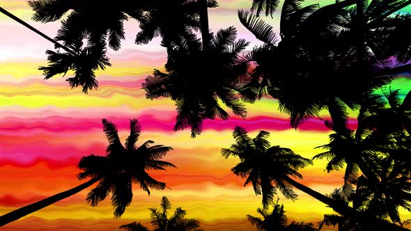Bottom View 5 On Acid Sky Through Palm Trees