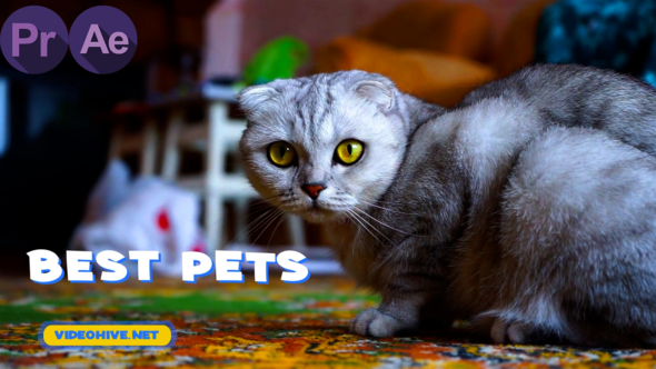 Pets Slideshow | MOGRT