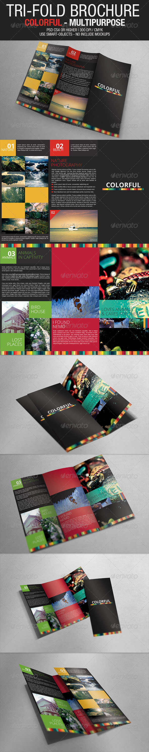 Tri Fold Brochure - Colorful Multipurpose - Brochures Print Templates