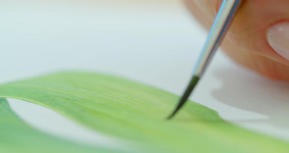 The Artist Paints Flowers. Watercolor Drawing. Hand Drawing with a Brush. Female Hand with a Brush alt