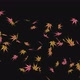 The autumn leaves - VideoHive Item for Sale