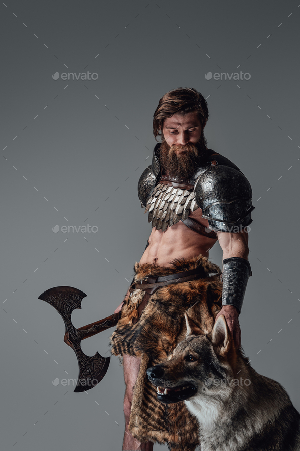 Mythical Nordic Barbarian Armed With Axe Posing With Wild Wolf Stock ...