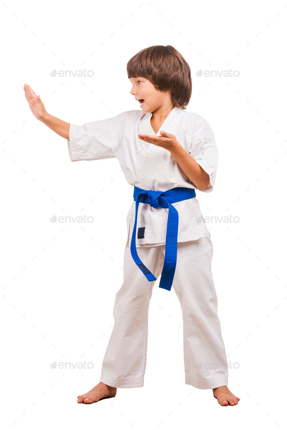 Silhouette Young Karatist Doing One Karate Pose Karate Studio Stock Photo  by ©gorgev 648025428