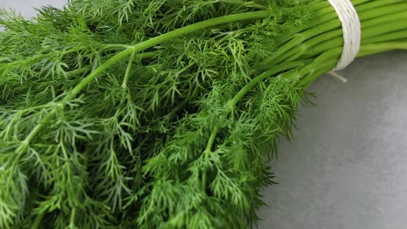 Fresh bunch of healthy raw green dill weed close up  alt