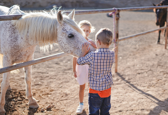 Children have fun with horse at ranch outdoor - Animal love Stock Photo ...