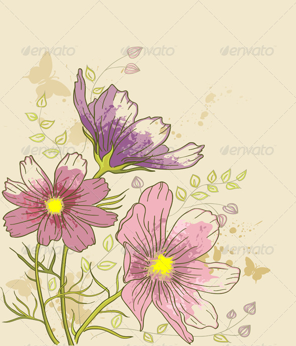 Floral Background with Cosmos Flowers - Flowers & Plants Nature
