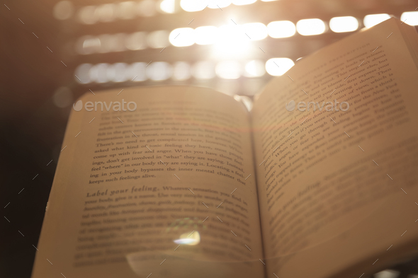 Leisure Time with a Book - Stock Photo - Images