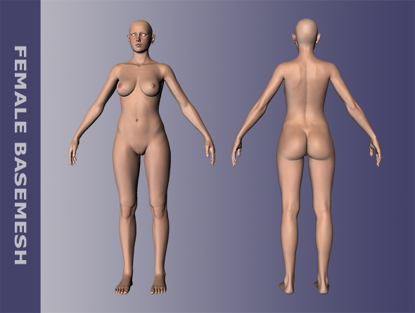 Female Body Basemesh - 3Docean 31906486
