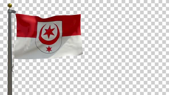 Halle (Saale) City Flag (Germany) on Flagpole with Alpha Channel - 4K alt
