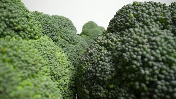 Fresh Green Broccoli 50 alt
