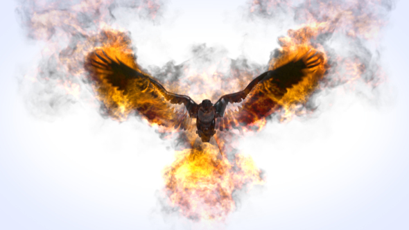 Flaming Eagle Logo - VideoHive 31914514