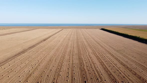 Aerial View of a Mown Wheat Field with Cylindrical Haystacks on a Sunny Summer Day alt