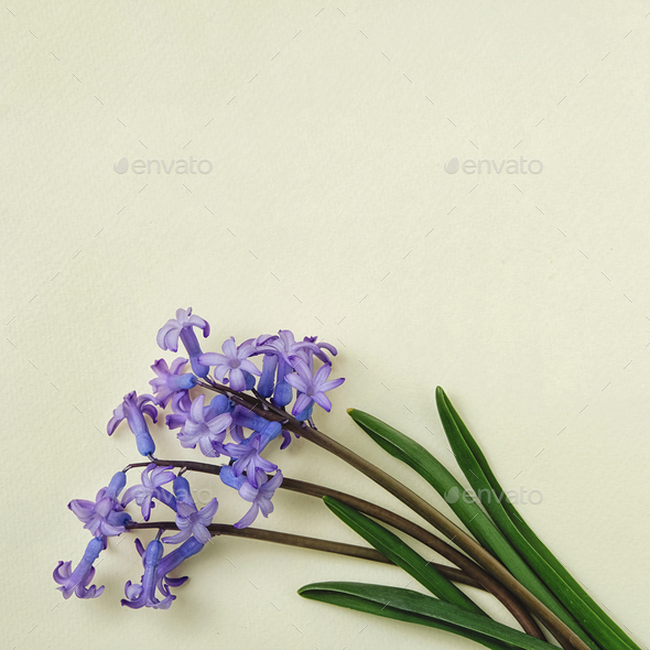 Small bouquet of blue flowers on yellow background and copy space for text - Stock Photo - Images
