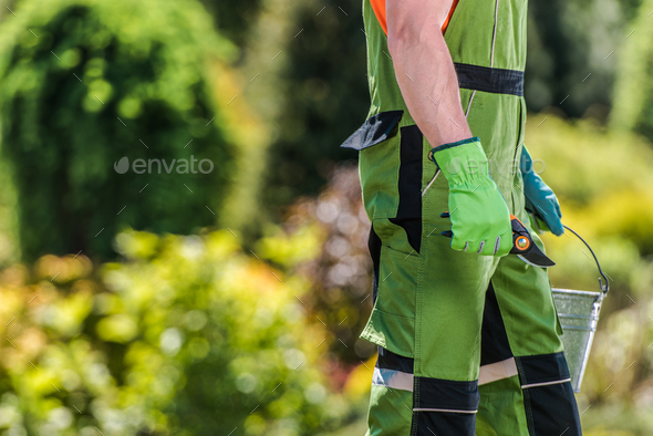 Gardener with Branch Trimming Tool in His Hand - Stock Photo - Images