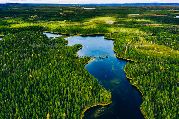 Aerial view of green forests and blue lakes and rivers in summer ...