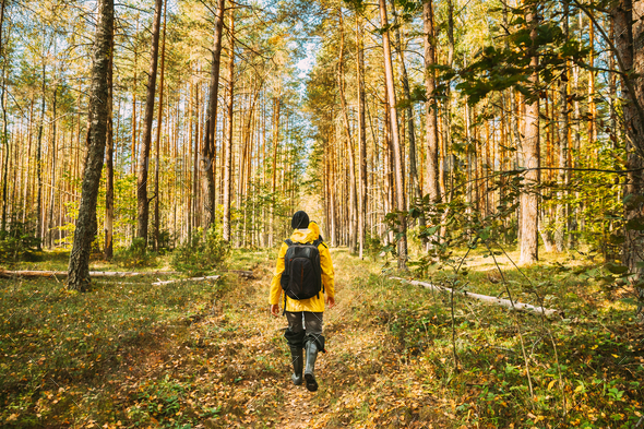 Young Woman Tourist Lady Dressed In Yellow Jacket Of Autumn Forest. Hiker Walking In Fall Mixed - Stock Photo - Images