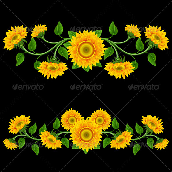 Sunflowers. - Flowers & Plants Nature