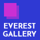 Everest Gallery - Responsive WordPress Gallery Plugin Free Download Lastes Version