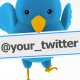 Twitter Bird Flying - VideoHive Item for Sale