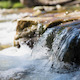 Water Stream Water Stream