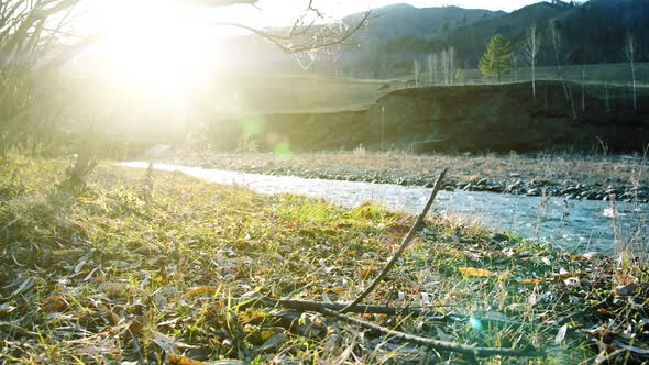 Dolly Slider Shot of the Splashing Water in a Mountain River Near Forest alt