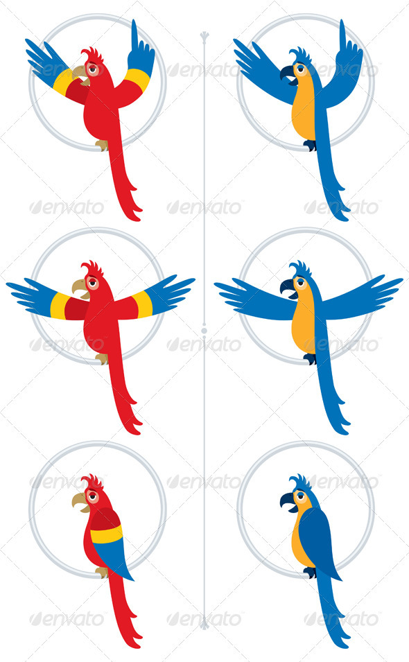 Parrot - Animals Characters