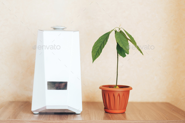 Humidifier is in working order, next to the house plant. Humidification, ionization and air