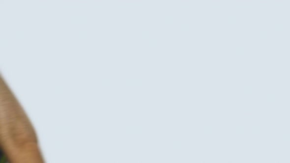 Hand Sweep Away Plastic Utensils Disposable alt