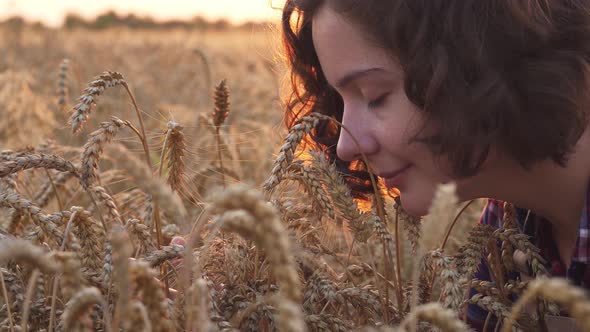 Happy Woman Agronomist In Wheat Field Inhales The Smell Of Spikelets. Wheat Field At Sunset alt