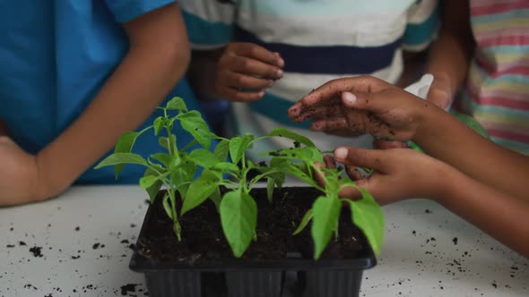 Diverse group of happy schoolchildren looking after plants in classroom during nature studies lesson alt