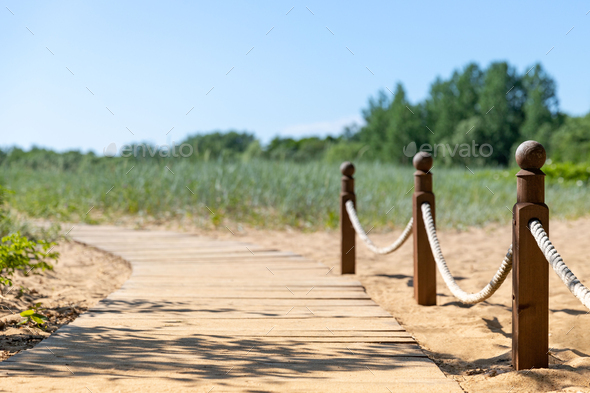 Ecological hiking trail in the national park through sand dunes, beach, sedge thickets and plants