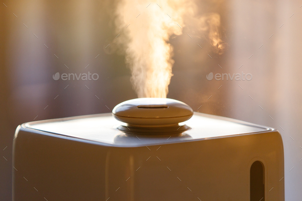 Close up of aroma oil diffuser on the table at home, steam from the air  humidifier, houseplants on backgroundUltrasonic technology, increase in  air Stock Photo - Alamy