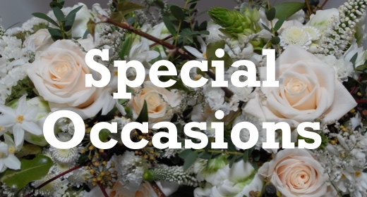 Special Occasions