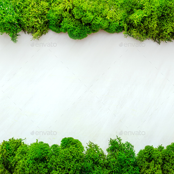 Natural green moss texture background. Stock Photo by maksimovata